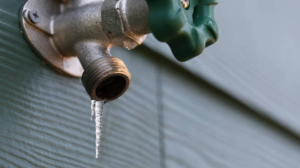 Best Plumbing Repair Near Me  in Quartz Hill, CA